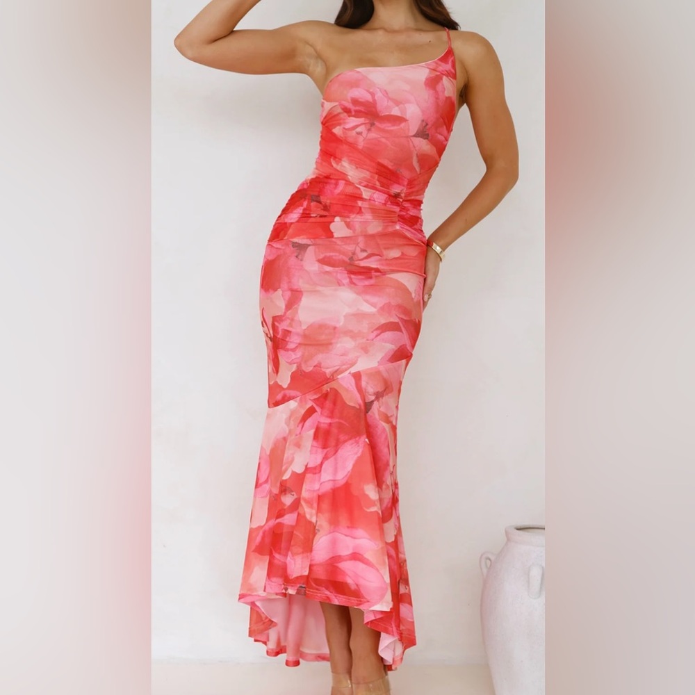 Hello Molly Pink Floral Maxi Dress